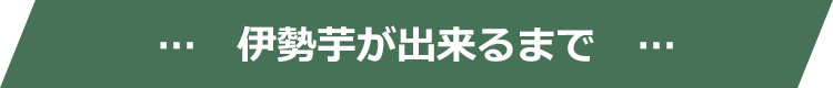 伊勢芋が出来るまで