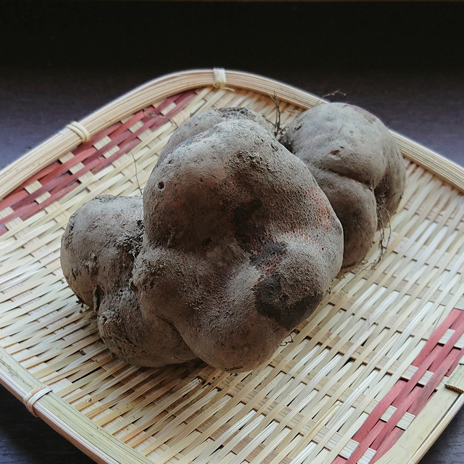 伊勢芋
