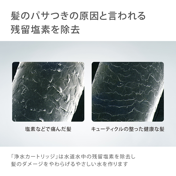 タカギ（takagi） シャワーヘッド ウルトラファインバブル 節水 塩素