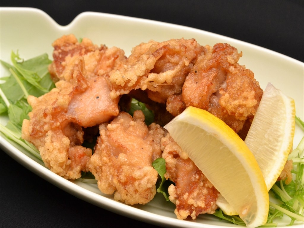 ランフリー馬肉ヤシオポーク&玄米　桜姫鶏ヴェニソン&ベジタブル・フルーツパピー用 馬肉・桜姫鶏＆玄米・ベジタブル（ライト） - 手作り