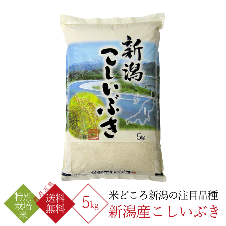 新潟県産 こしいぶき 特別栽培米 （ 令和5年産 ） 5kg  【 送料無料 （新潟近県）】｜takaishi-kome