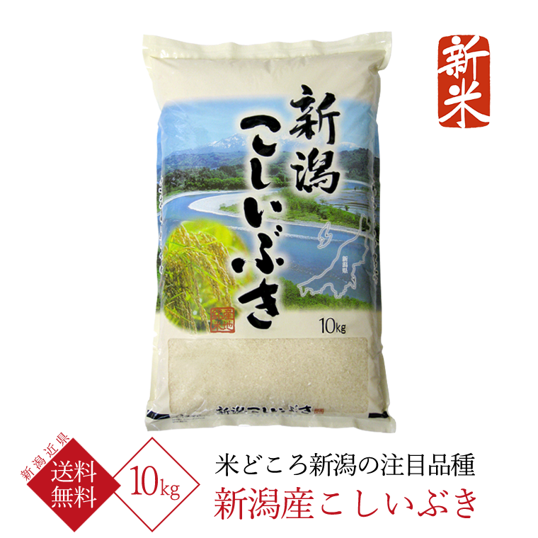 新米 新潟県産 こしいぶき （ 令和6年産 ） 10kg 【 送料無料 （新潟近県）】