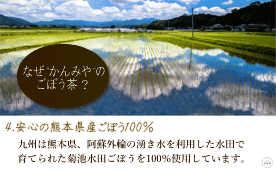 流行に ごぼう茶 50包 熊本県産 お徳用 大容量 1180円 皮まで丸ごと 無添加 ノンカフェイン
