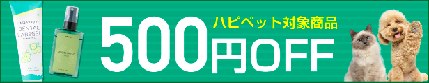 歯みがき