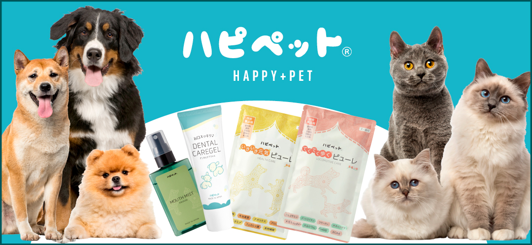 高光製薬 ノビルン ぶどう味 3袋 180粒 新品未開封 高光製薬オンラインショップ｜ショッピングカート