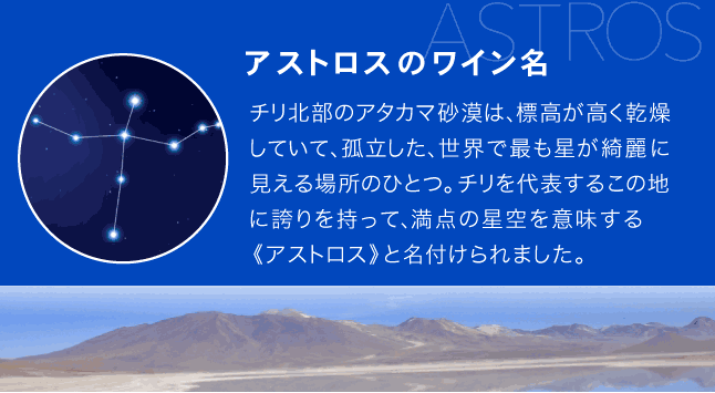 送料無料 12本セット アストロス カルメネール ( 赤ワイン )※同梱不可 :0400003283217:タカムラ ワイン ハウス - 通販 -  Yahoo!ショッピング