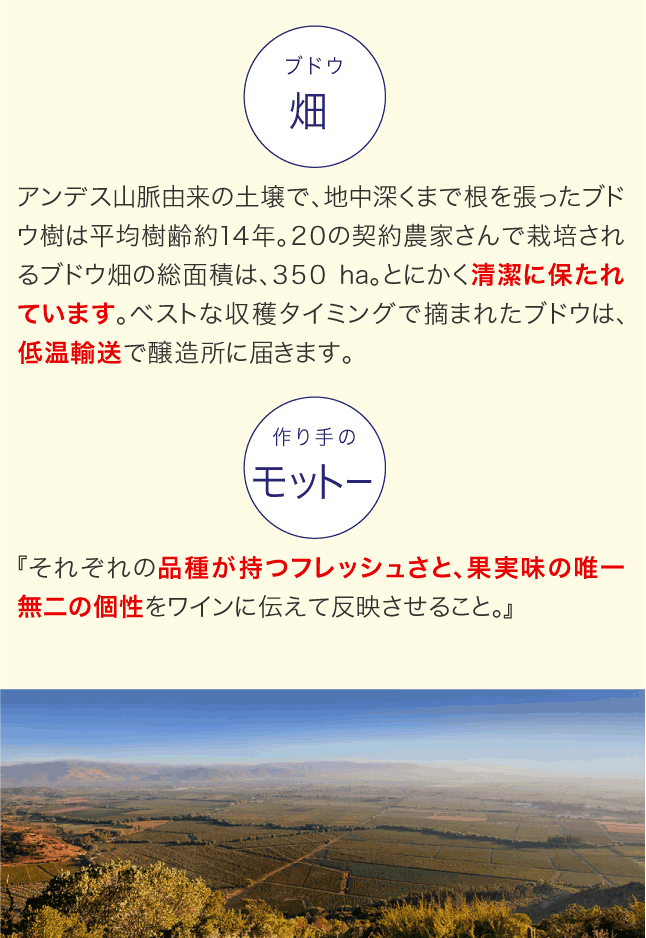 送料無料 12本セット アストロス カルメネール ( 赤ワイン )※同梱不可 :0400003283217:タカムラ ワイン ハウス - 通販 -  Yahoo!ショッピング