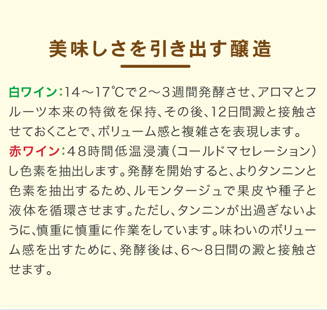 送料無料 12本セット アストロス カルメネール ( 赤ワイン )※同梱不可 :0400003283217:タカムラ ワイン ハウス - 通販 -  Yahoo!ショッピング