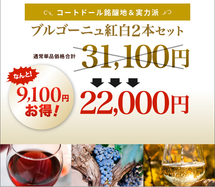 送料無料 世界的人気ブルゴーニュを満喫！老舗＆実力派を厳選