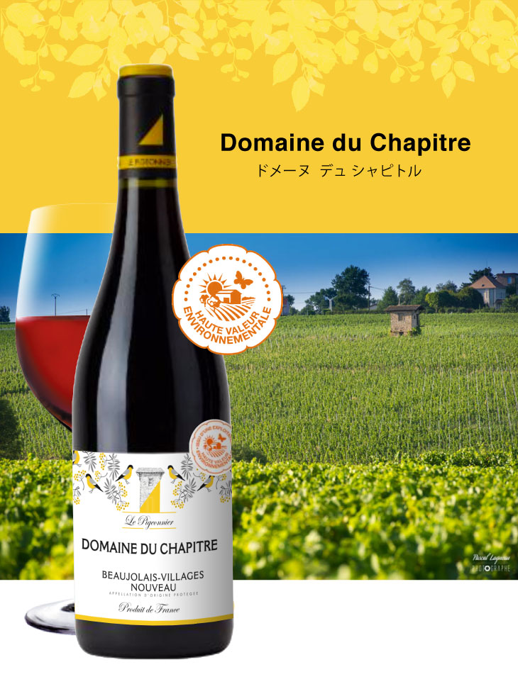 ☆ ◇送料無料◇ ボジョレー ヴィラージュ ヌーヴォー[2025]ドメーヌ