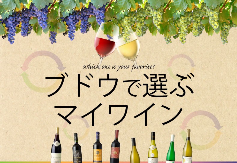 ワイン通販専門店ワインショップワインホリック本店|マルセル