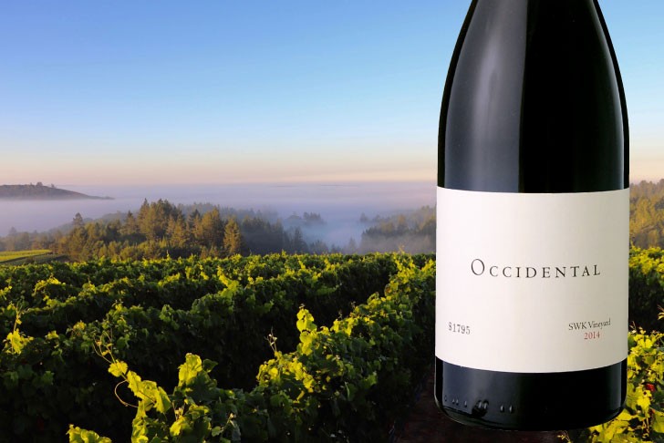 シャルドネ レ ノワゼッティエール [ 2020 ]キスラー ( 白ワイン ) [S] スティーヴ キスラー Wine ワイン