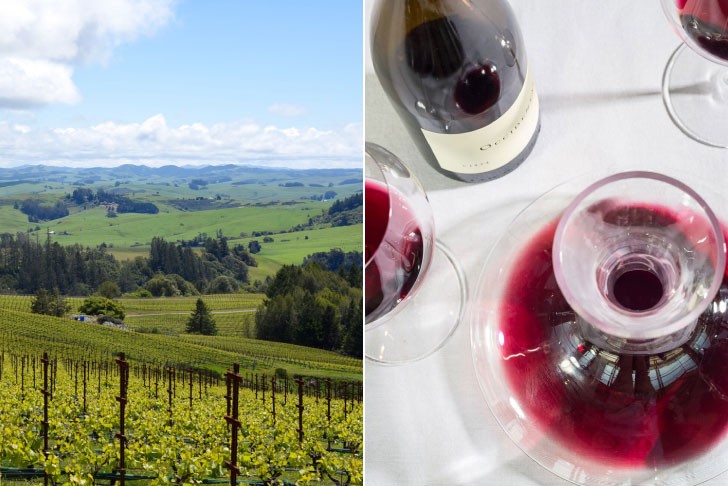 シャルドネ レ ノワゼッティエール [ 2020 ]キスラー ( 白ワイン ) [S] スティーヴ キスラー Wine ワイン