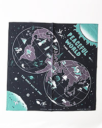 今回使用したアイテム