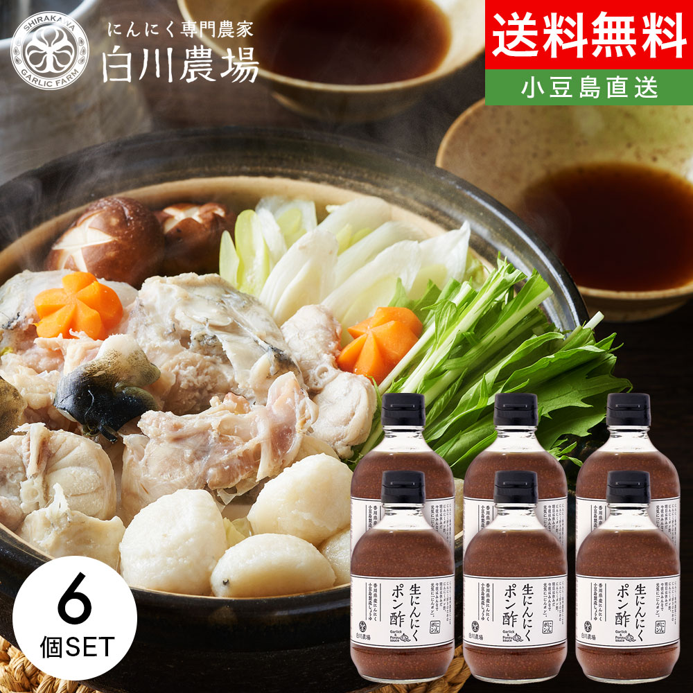 ɂɂ|| K[bN|| 300ml 6{Zbg K[bN k  䂸 Mq| Y hbVO _ I[uACh oliveisland