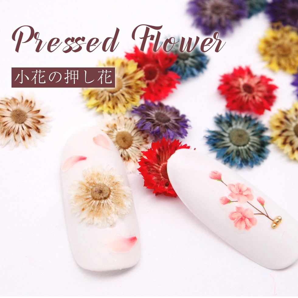 セットアップ 小さなお花の押し花 ドライフラワー 6色セット Uvレジン ネイル アート Shipsctc Org