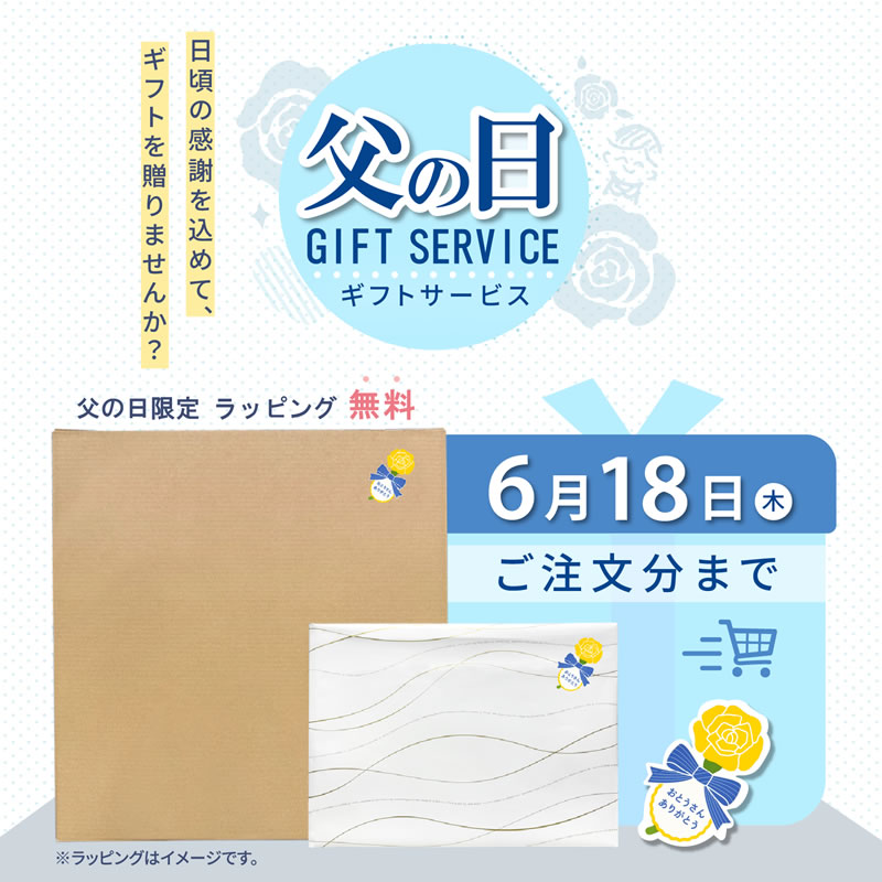 スイング練習器具 魔法のホース プロ愛用 ゴルフ練習器具 男女兼用