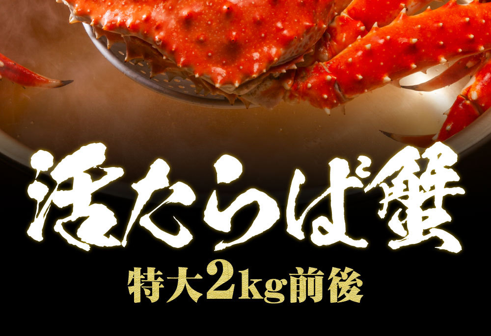 カニ かに 蟹 【獲れたて未冷凍 活タラバガニ】 たらばがに タラバがに 2kg前後 特大 姿 たらば 送料無料 ボイル タラバ A55 お歳暮  御歳暮 プレゼント :chil-taraba-4k:北海道 さっぽろ朝市 高水Yahoo!店 - 通販 - Yahoo!ショッピング