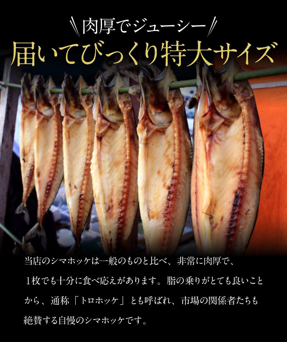 シマホッケ干物 市場の一夜干 定番キャンバス 脂の乗った縞ほっけ お中元 敬老の日 ギフト 内祝 お歳暮年末年始 出産内祝い