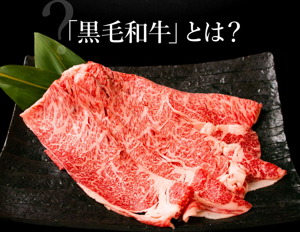 最高級 牛肉 黒毛和牛 国産 A5 霜降り 肩ロース 500g 送料無料 焼肉