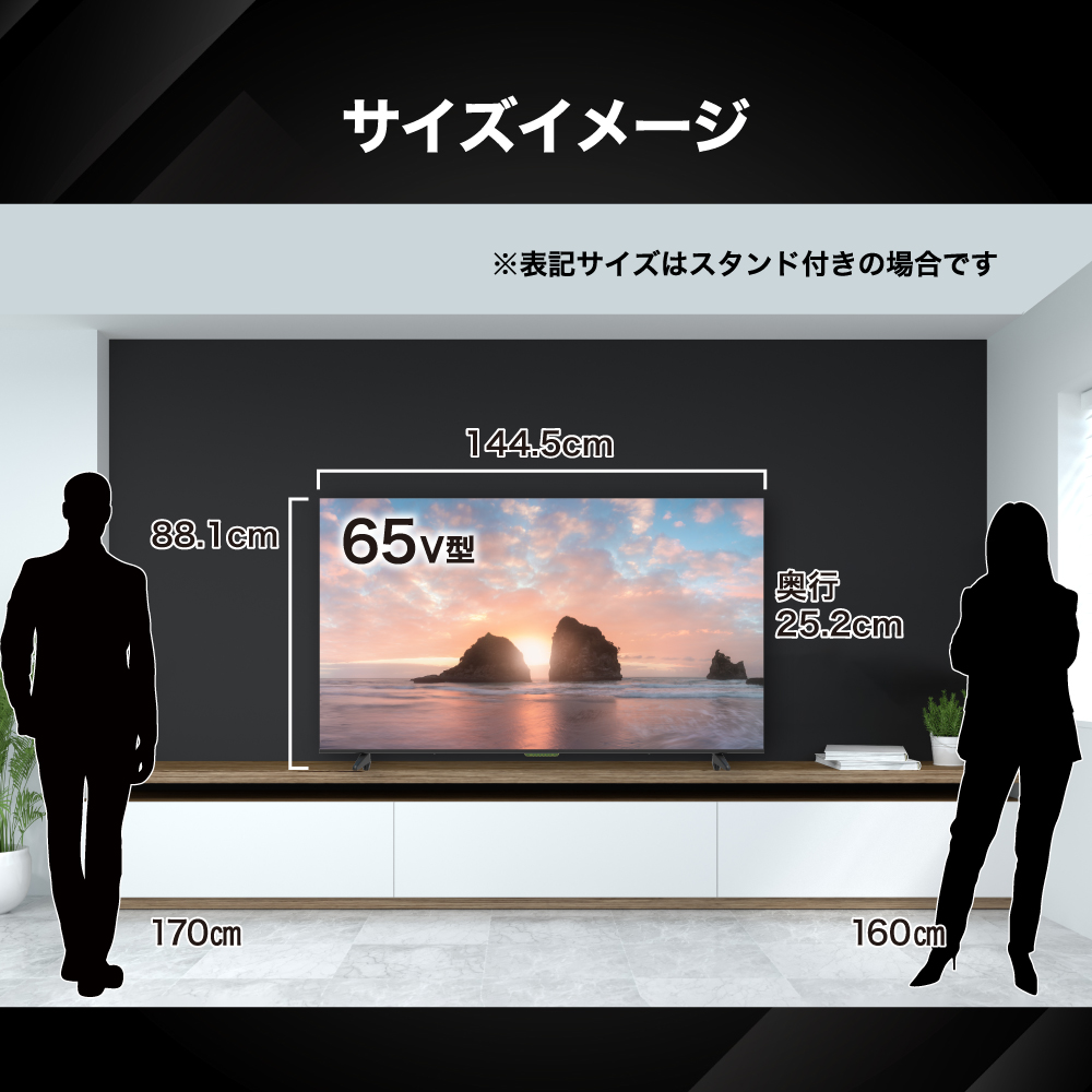 BLUEWIDE 65V型 4K HDR Google TV 液晶 テレビ Wチューナー内蔵
