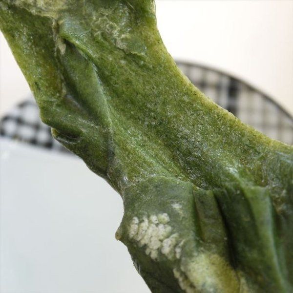 5】 尾崎 よもぎ餅 草餅 くさもち 切り餅 6切入×5袋 おもち 餅 5】 尾崎 よもぎ餅 草餅 くさもち 切り餅 6切入×5袋 おもち 餅