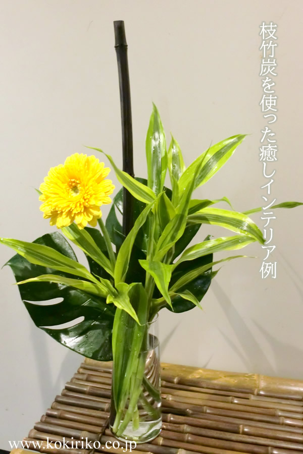 枝炭を使った生花写真