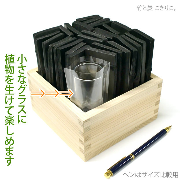 輝き枡 花器用植物なし