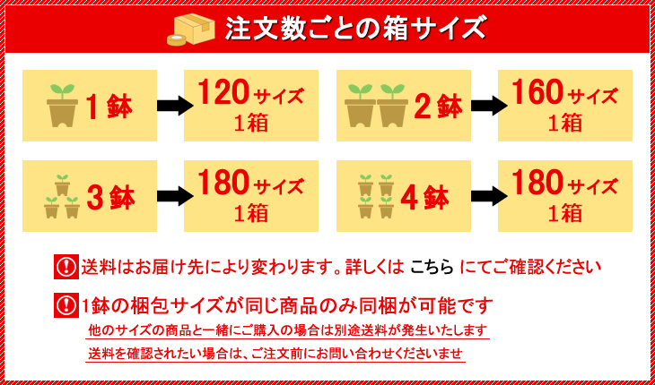 ご購入前にご確認くださいませ