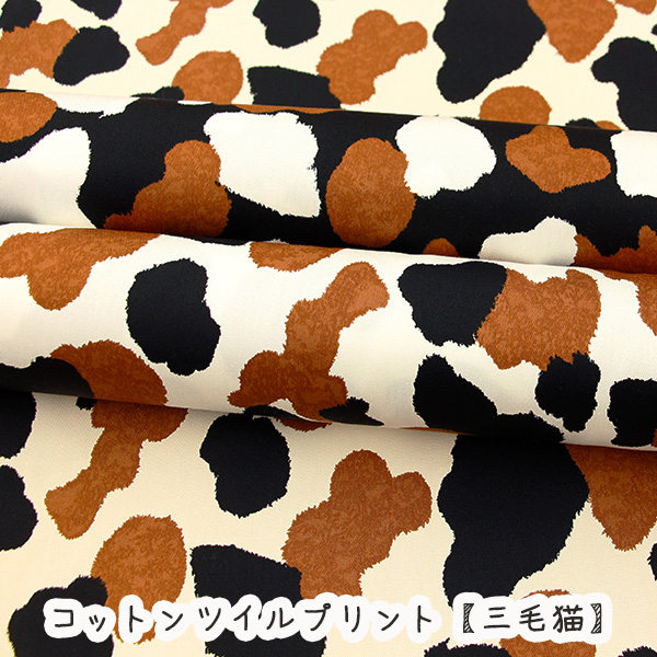 みけねこ様 専用 10点 4523251033116.jpg