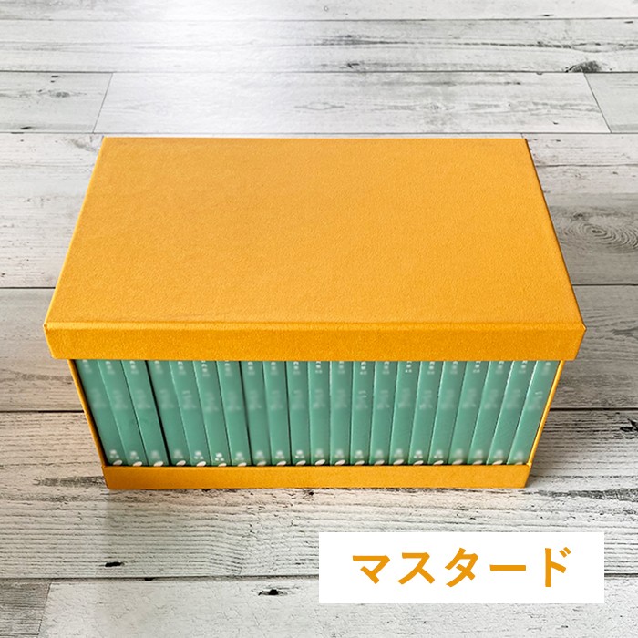 CD収納 オープンボックス 約20枚 取り出し簡単 CDケース アルバム