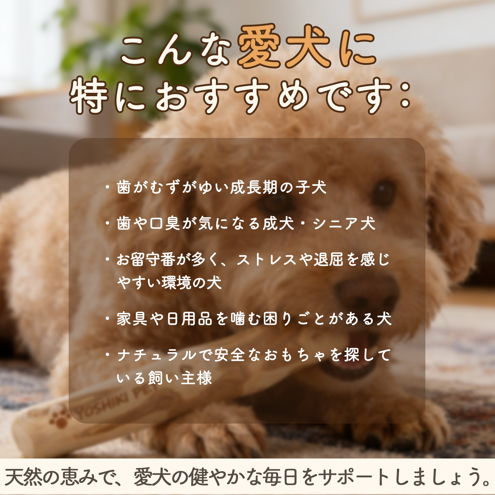良木工房YOSHIKI】犬用おもちゃ コーヒーの木 Sサイズ 天然木 無添加