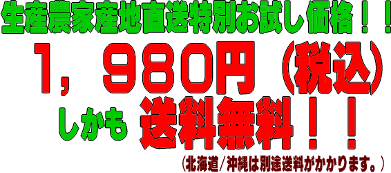 有田みかんが送料無料で1,980円