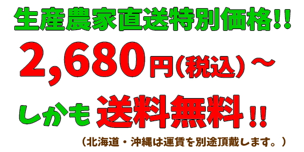 有田みかんが送料無料で2,680円～