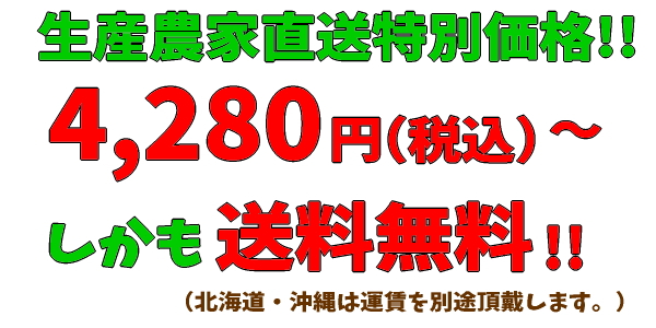 有田みかんが送料無料で4,280円～