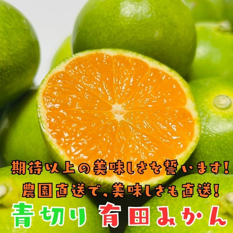 青切り有田みかん