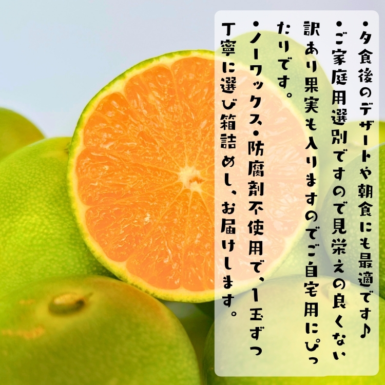 訳あり 青切り 有田みかん