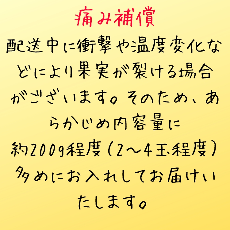 特撰 青切り 有田みかん
