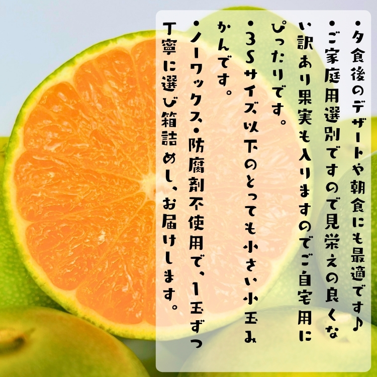 小粒 青切り 有田みかん