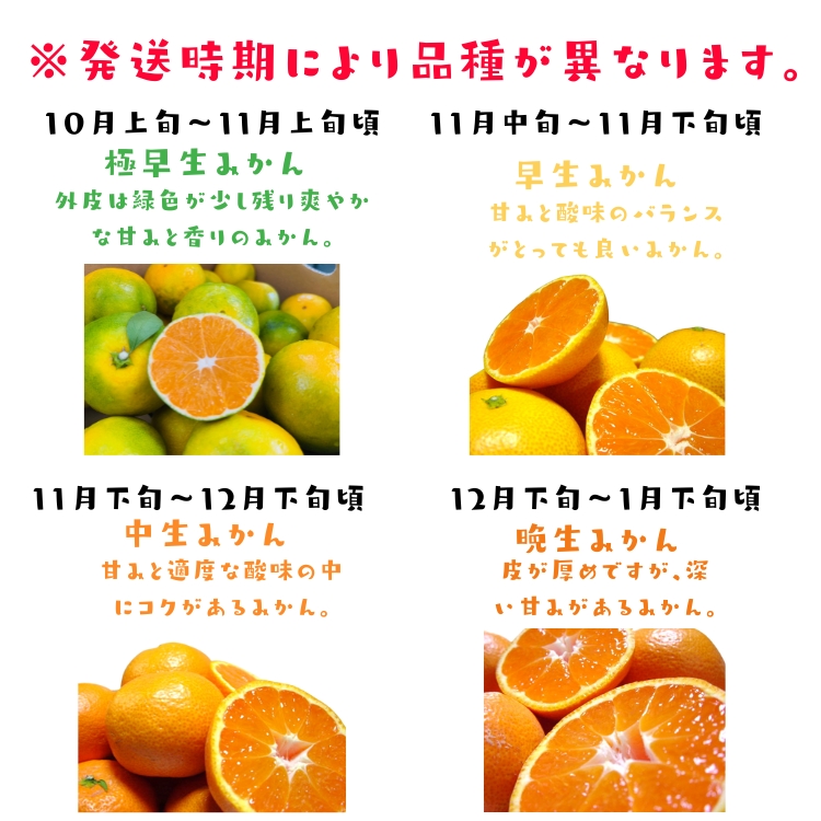 外成完熟有田みかん産地直送販売所 【お試し】【送料無料】【訳あり