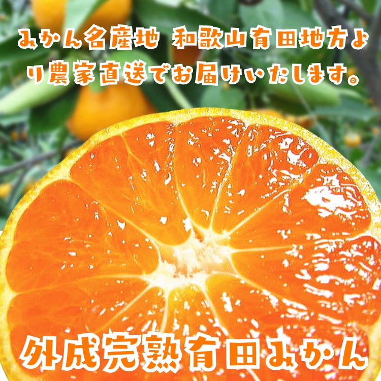 外成完熟有田みかん産地直送販売所 【お試し】【送料無料】【訳あり