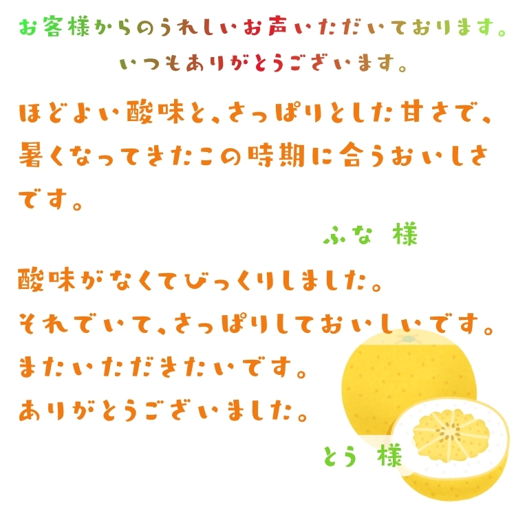 訳あり 河内晩柑