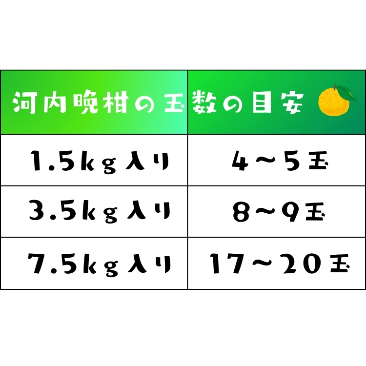 わけあり 河内晩柑