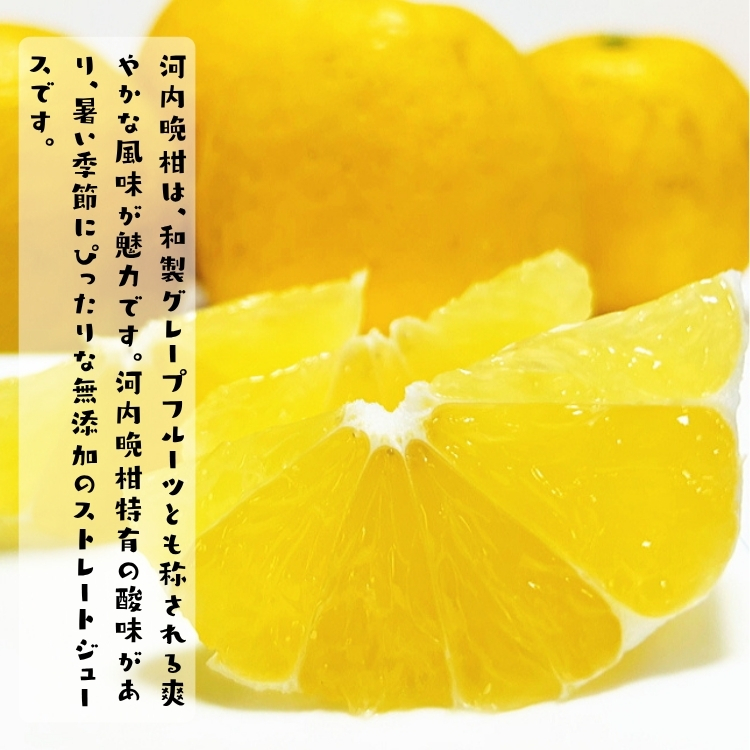 河内晩柑無添加ストレートジュース