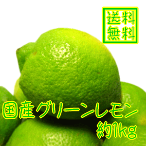 国産レモン＆グリーンレモン(送料無料)