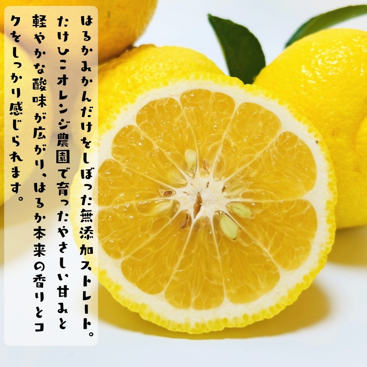 はるかみかん無添加ストレートジュース