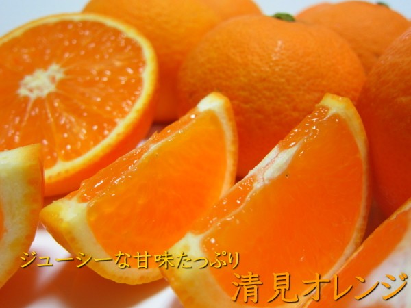 清見オレンジ