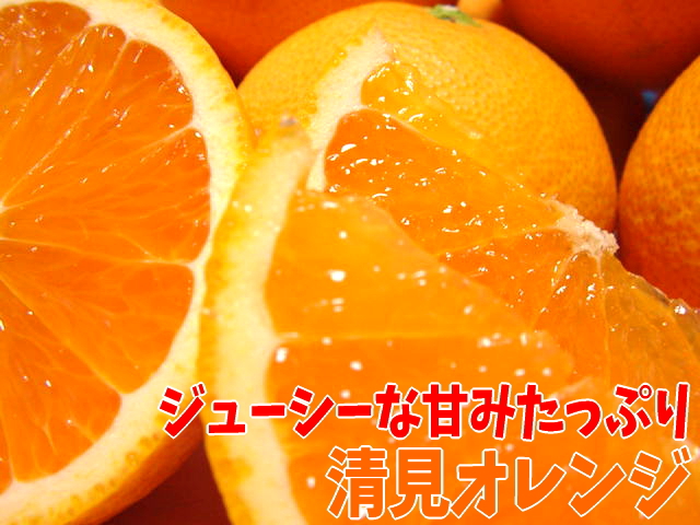甘みたっぷり清見オレンジ(送料無料)