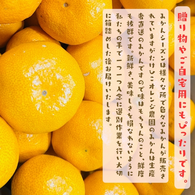 贈り物にも最適です。