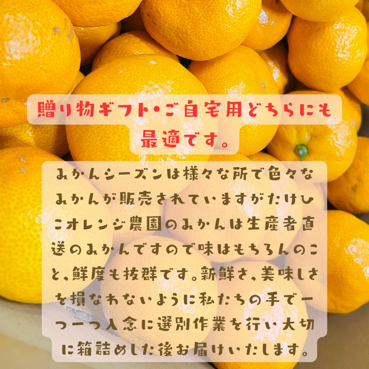 ギフトにもご自宅用に最適なみかんです。